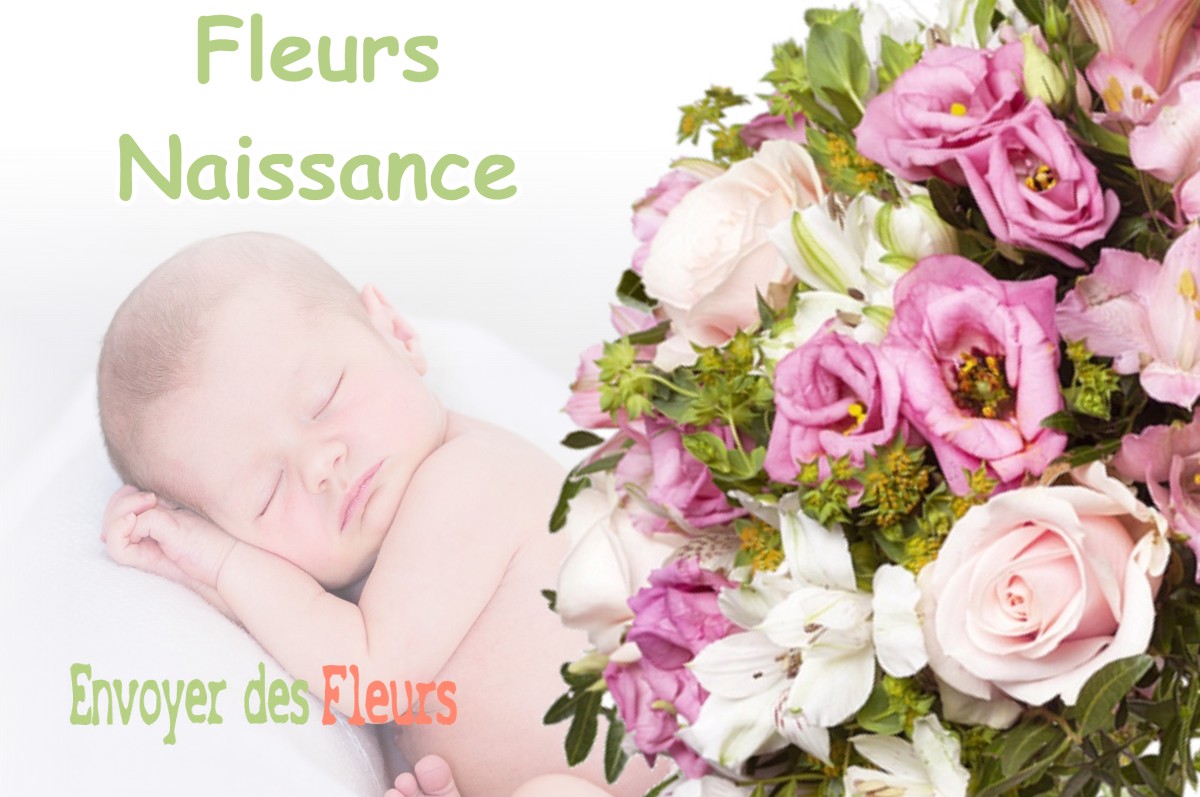 lIVRAISON FLEURS NAISSANCE à BELCODENE